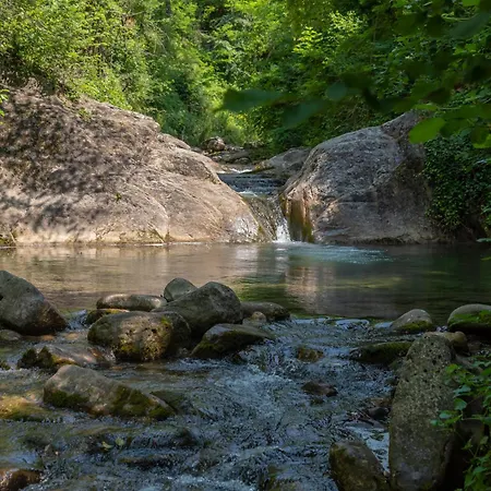 La Torre Della Cupolina Hébergement de vacances